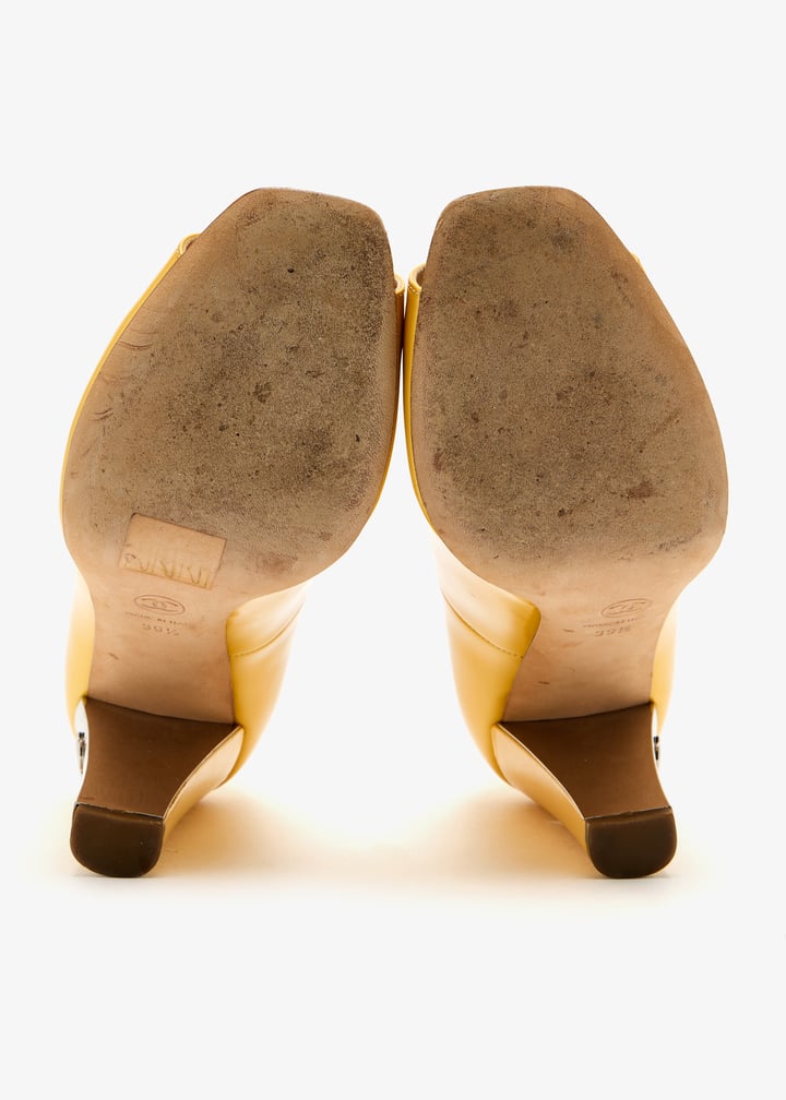 pl505598_7.jpg?ts=20250702041847