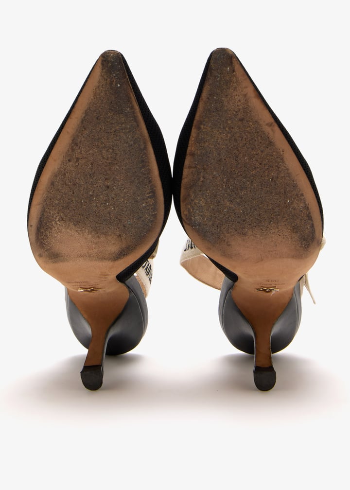 pl508240_7.jpg?ts=20250702042118