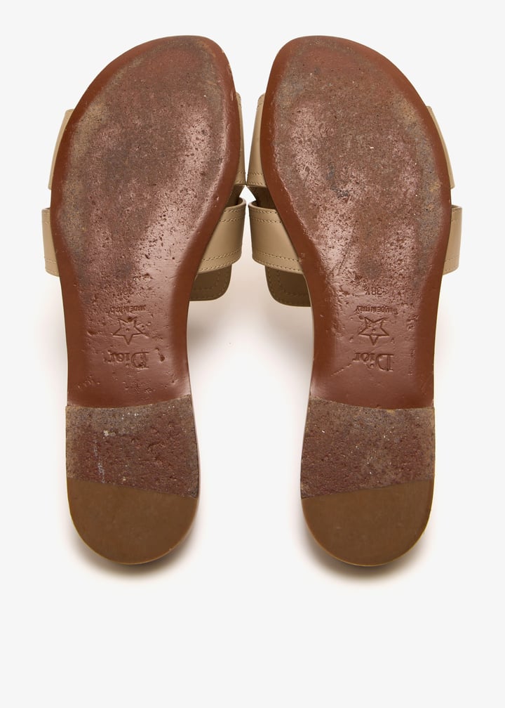 pl508241_7.jpg?ts=20250702042121