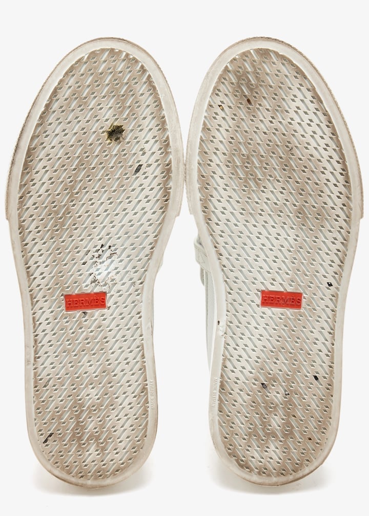 pl508424_7.jpg?ts=20250713132239