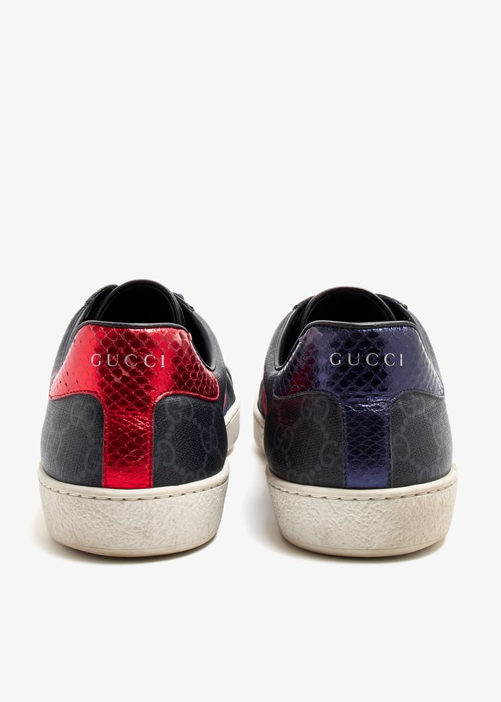 pl509746_3.jpg?ts=20250813070721