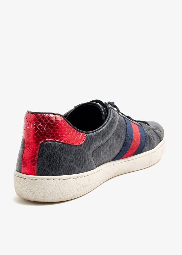 pl509746_4.jpg?ts=20250813070721