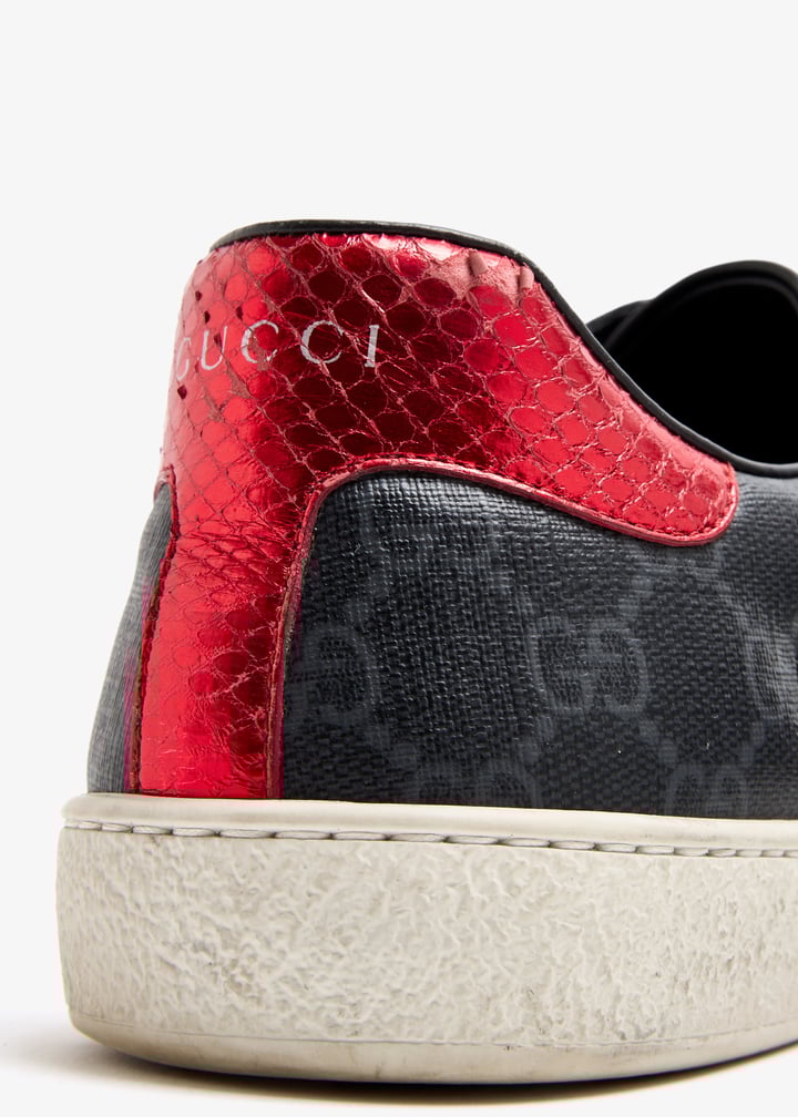 pl509746_5.jpg?ts=20250813070722