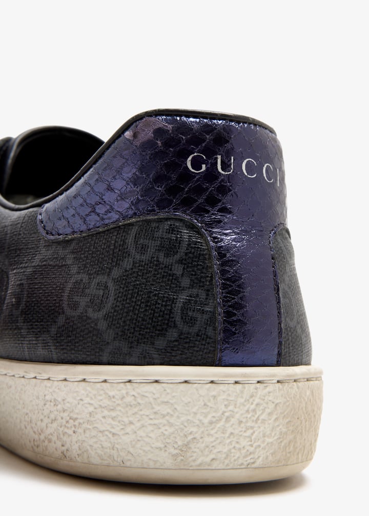 pl509746_6.jpg?ts=20250813070722