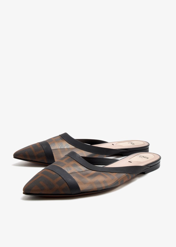 pl509748_3.jpg?ts=20250813070724