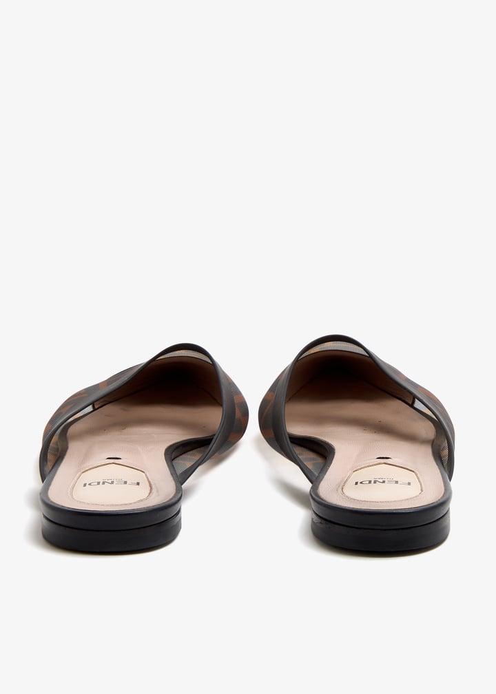 pl509748_6.jpg?ts=20250813070725