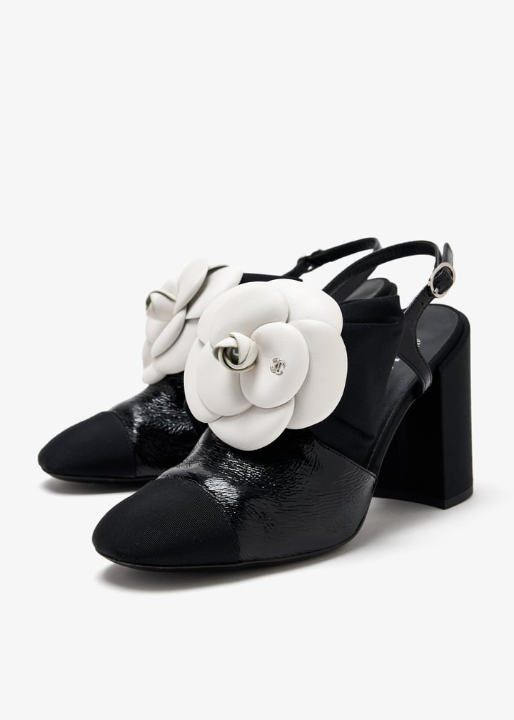 pl509773_3.jpg?ts=20250705034825