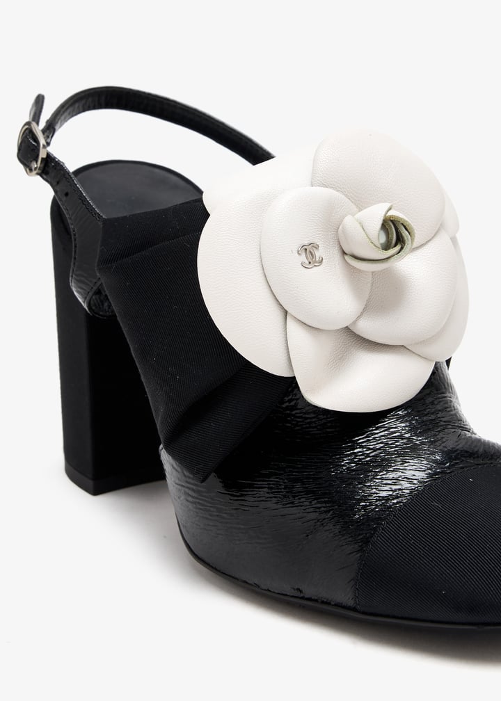 pl509773_5.jpg?ts=20250705034826