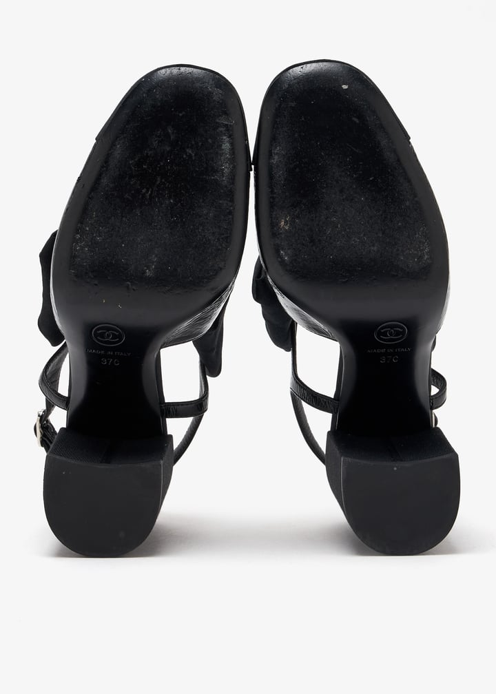 pl509773_7.jpg?ts=20250705034826