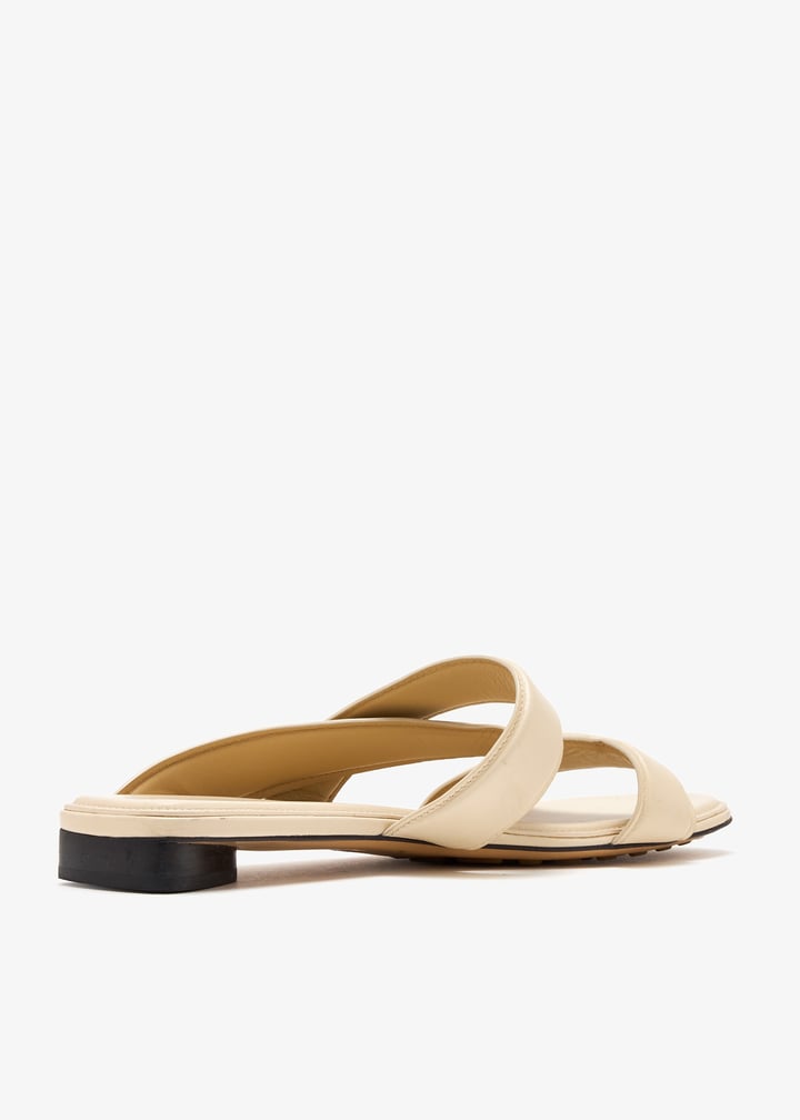 pl514669_4.jpg?ts=20250805043216