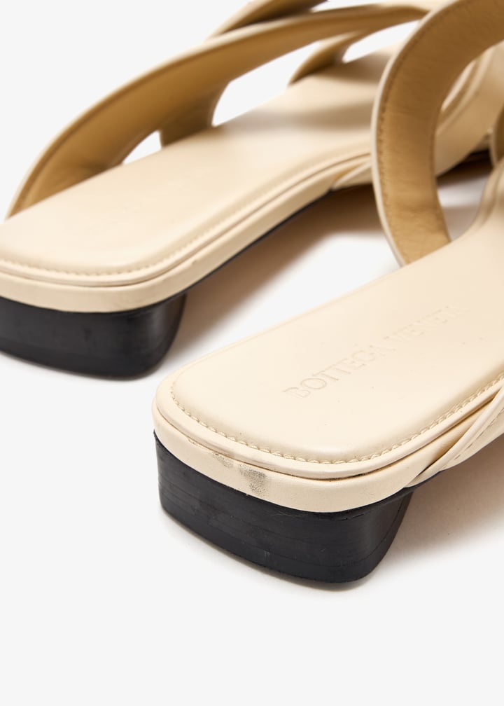 pl514669_5.jpg?ts=20250805043216