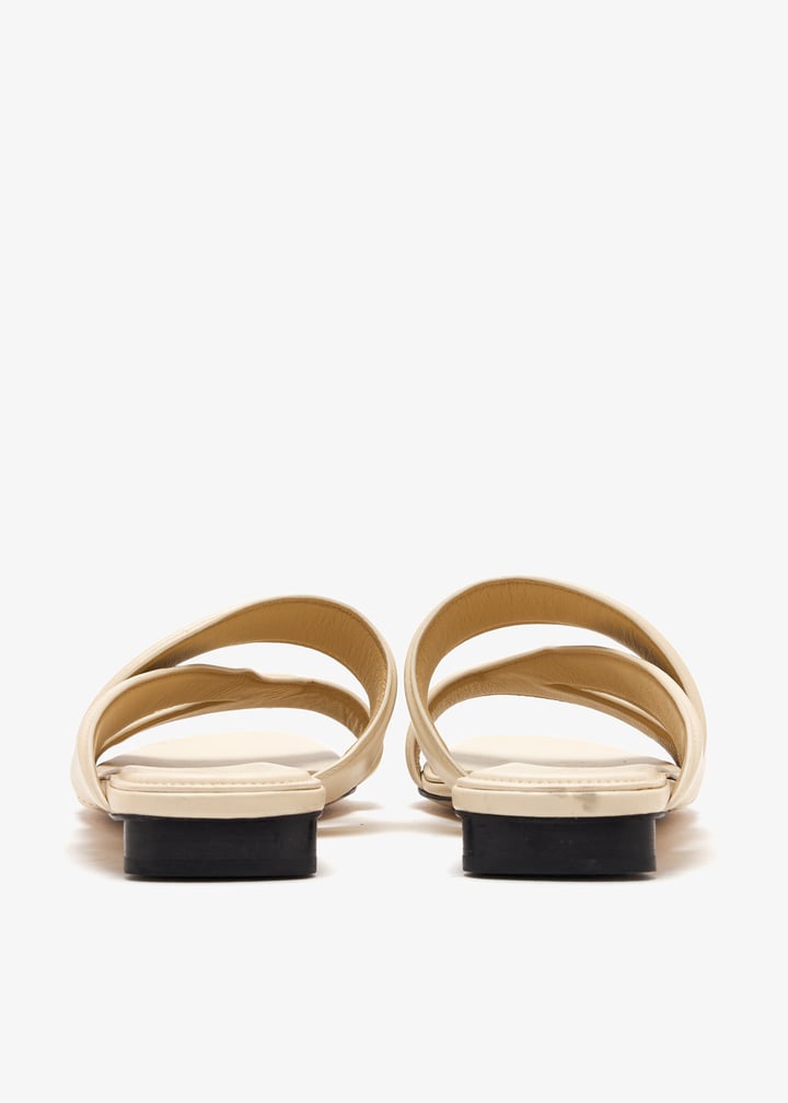 pl514669_6.jpg?ts=20250805043217