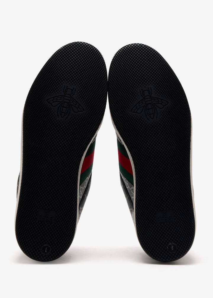 pl517792_7.jpg?ts=20250726030652