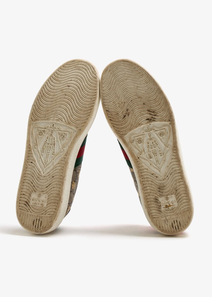 pl537172_7.jpg?ts=20250909104405