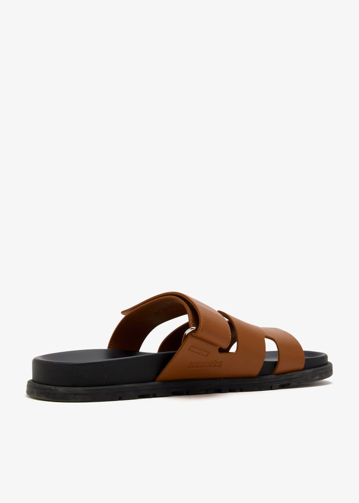 pl542518_4.jpg?ts=20250826065559