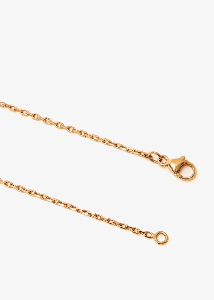 pl559148_4.jpg?ts=20250909104737