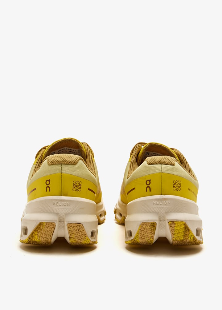 pl559168_6.jpg?ts=20250909104819