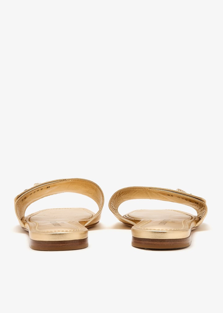 pl585791_6.jpg?ts=20251007061745