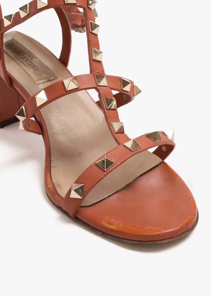 pl589257_5.jpg?ts=20260321020553