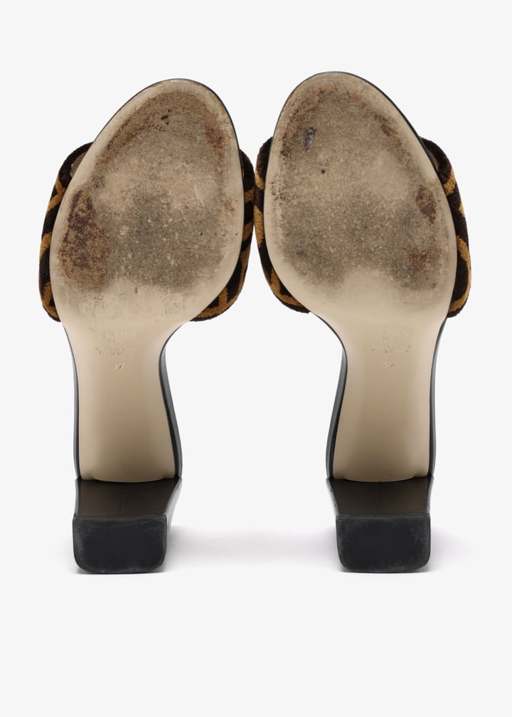 pl616322_7.jpg?ts=20251107105039