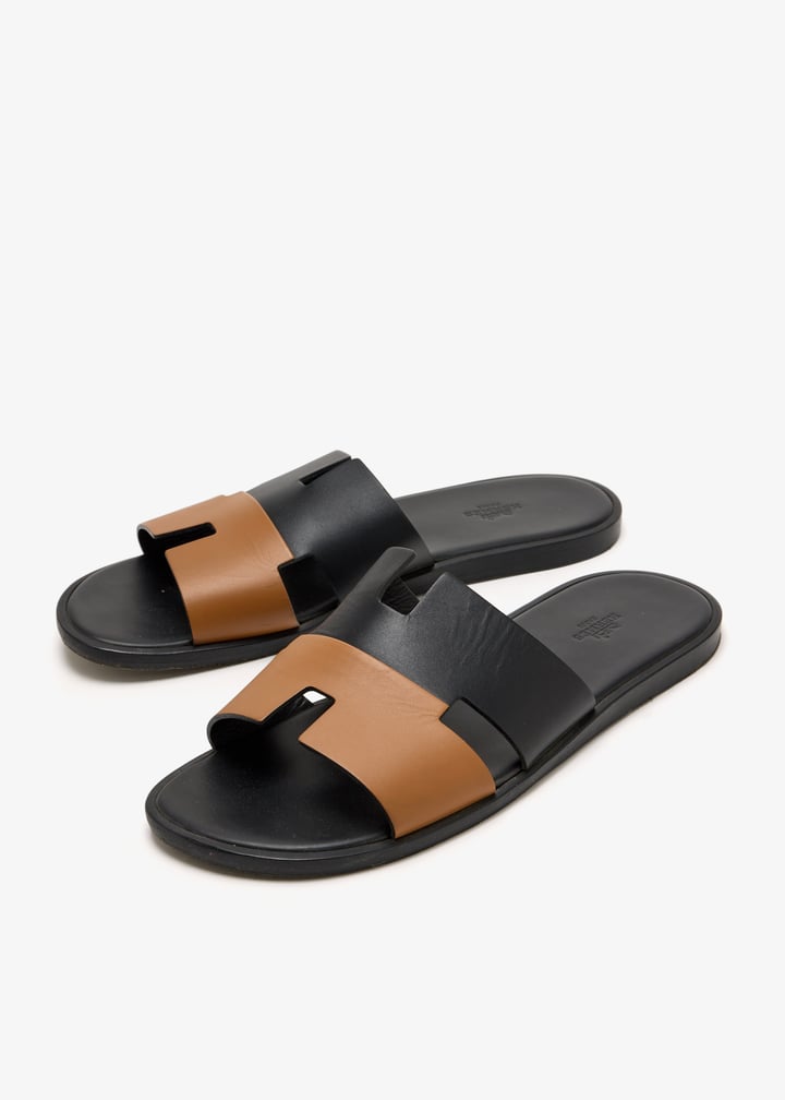 pl622602_3.jpg?ts=20251119055932