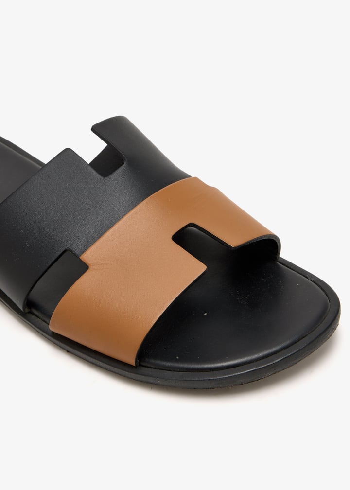 pl622602_5.jpg?ts=20251119055933