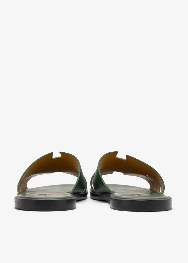 pl655862_6.jpg?ts=20260112113802