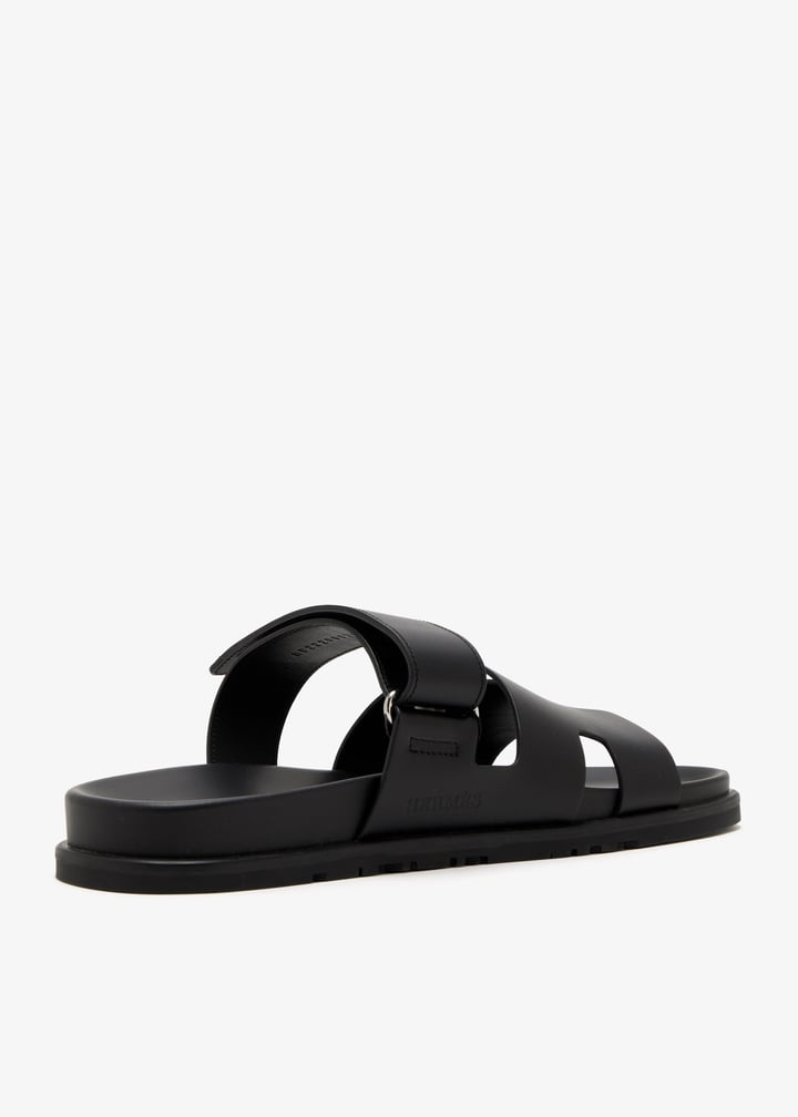 pl664551_4.jpg?ts=20260116141302