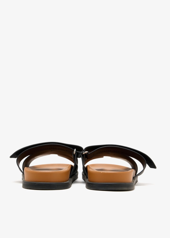 pl666132_6.jpg?ts=20260124153501