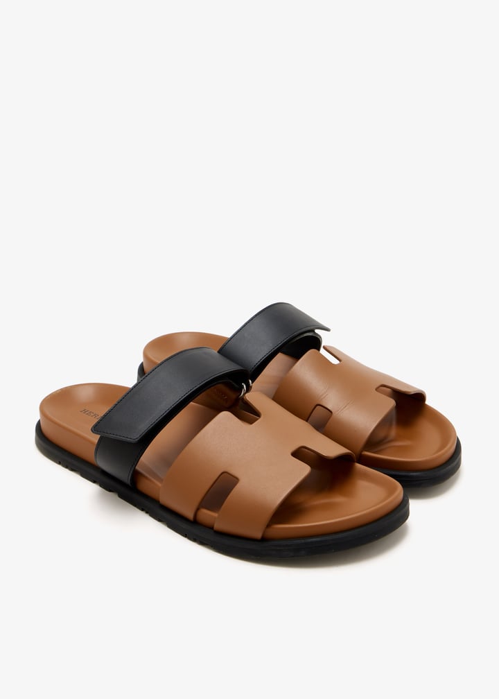 pl666133_3.jpg?ts=20260124153505