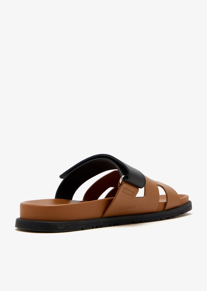 pl666133_4.jpg?ts=20260124150003