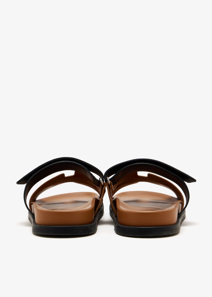 pl666133_6.jpg?ts=20260124153505