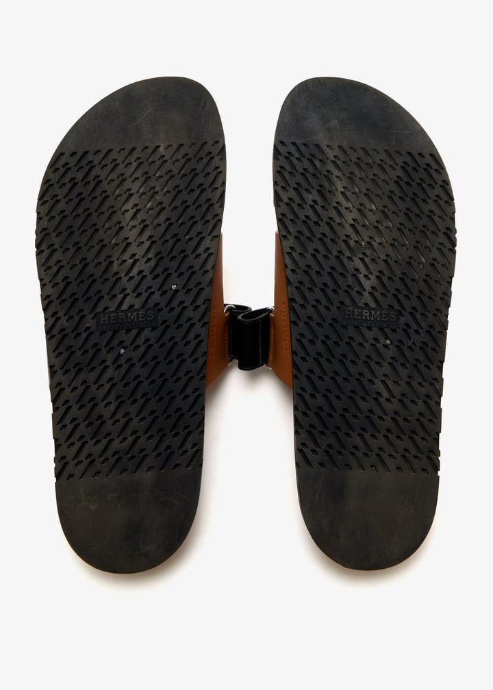 pl666133_7.jpg?ts=20260124152005