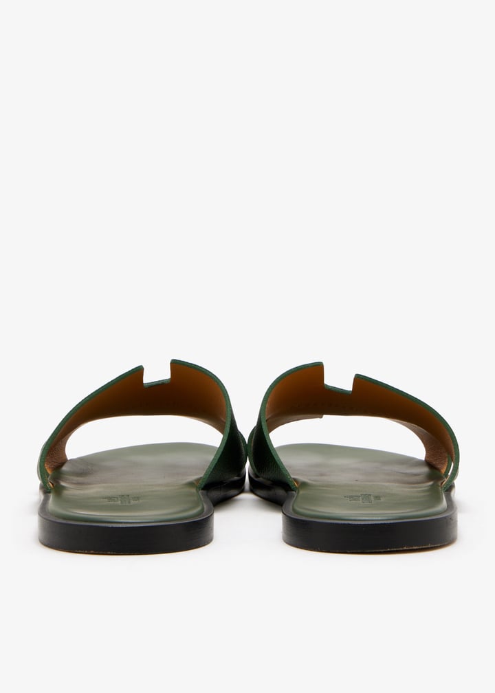 pl666135_6.jpg?ts=20260124153508