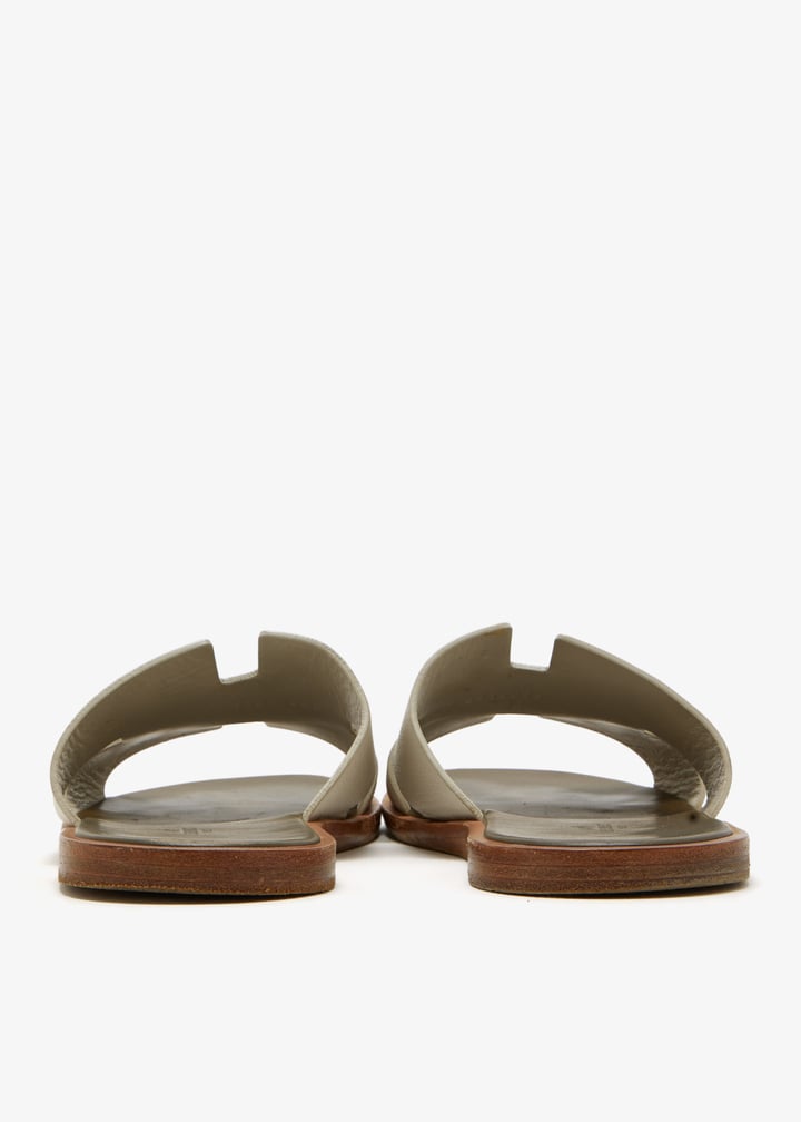 pl666137_6.jpg?ts=20260124153512