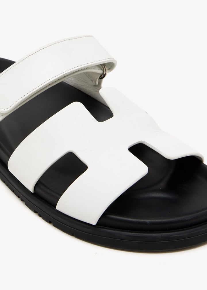 pl666141_5.jpg?ts=20260124153517