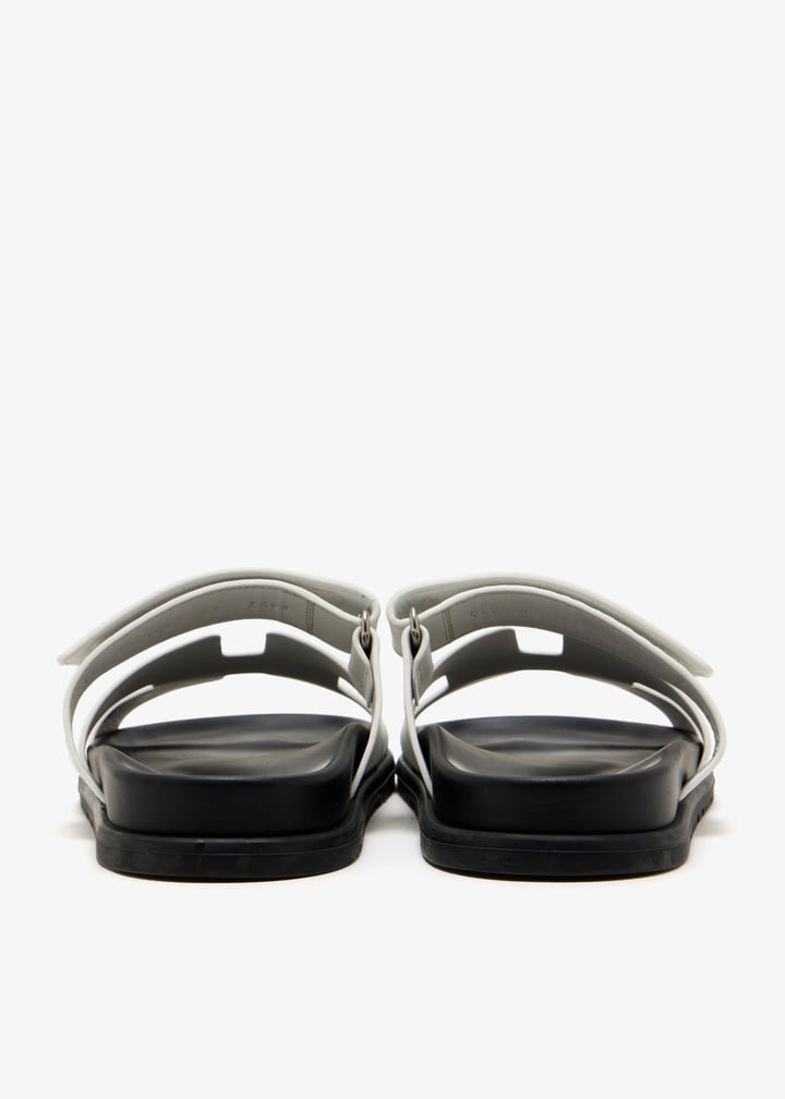 pl666141_6.jpg?ts=20260124153517