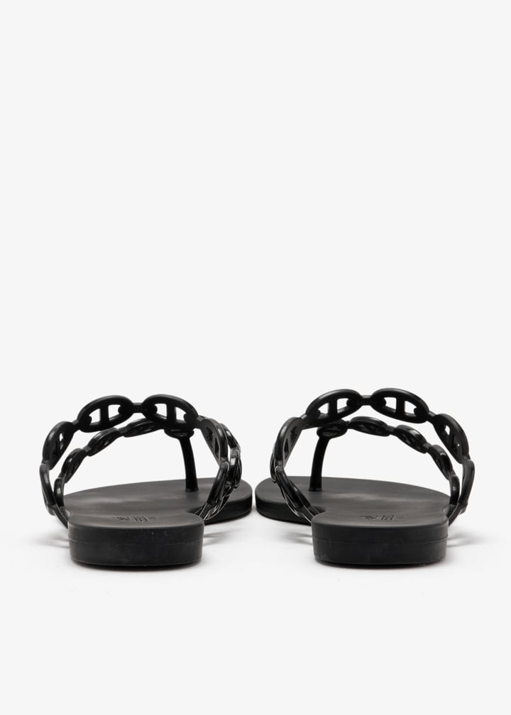 pl704601_6.jpg?ts=20260312125720