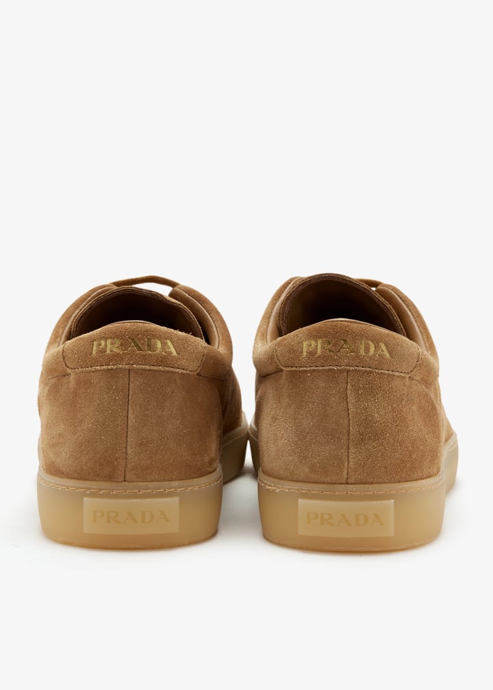 pl704602_6.jpg?ts=20260227110925