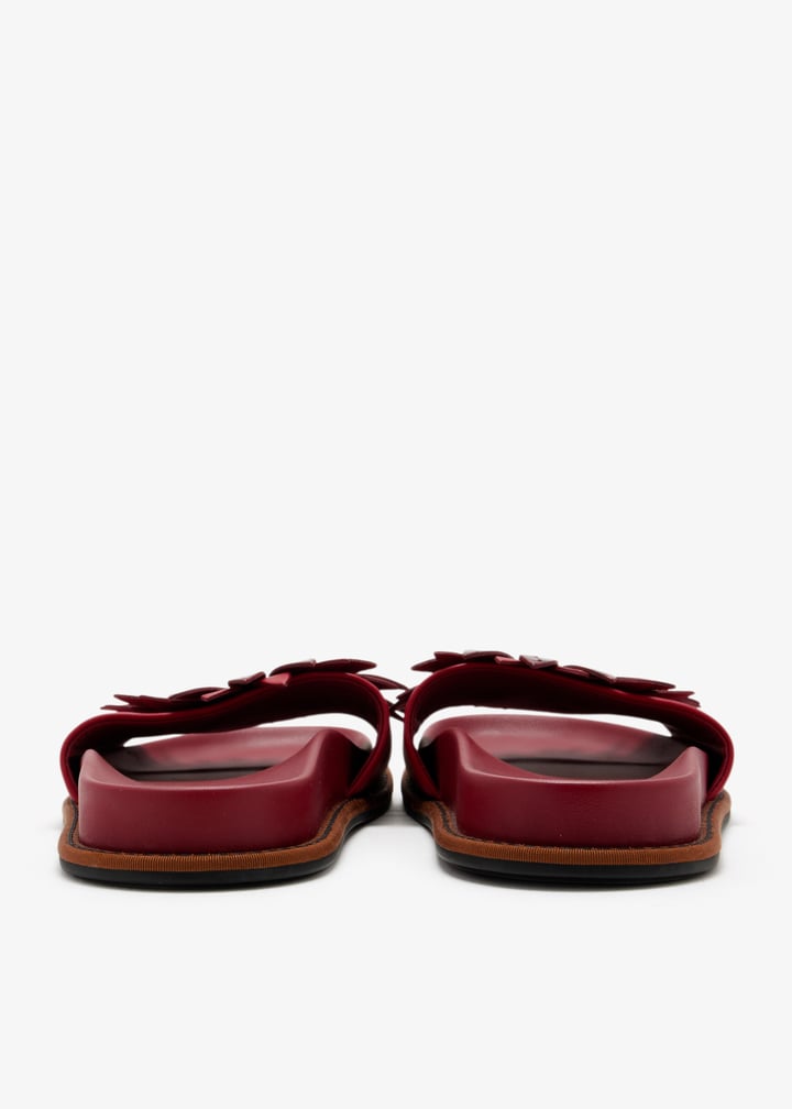 pl705707_6.jpg?ts=20260304050632