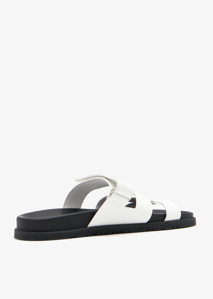 pl709666_4.jpg?ts=20260304050823