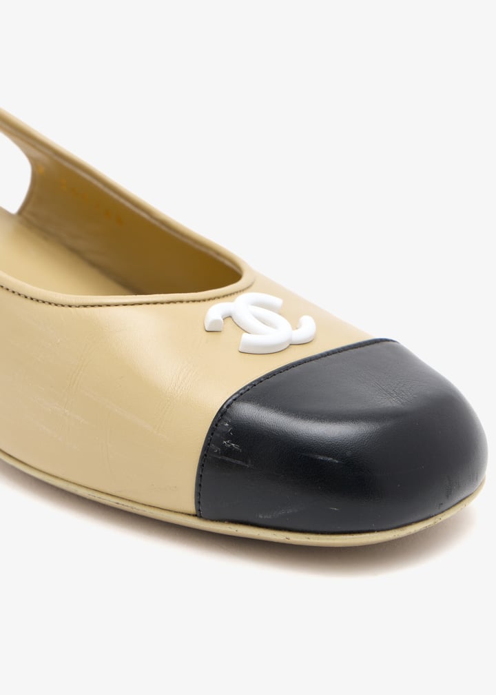 pl709675_5.jpg?ts=20260304050850