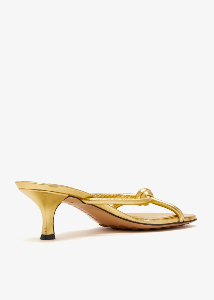 pl711742_4.jpg?ts=20260304050928