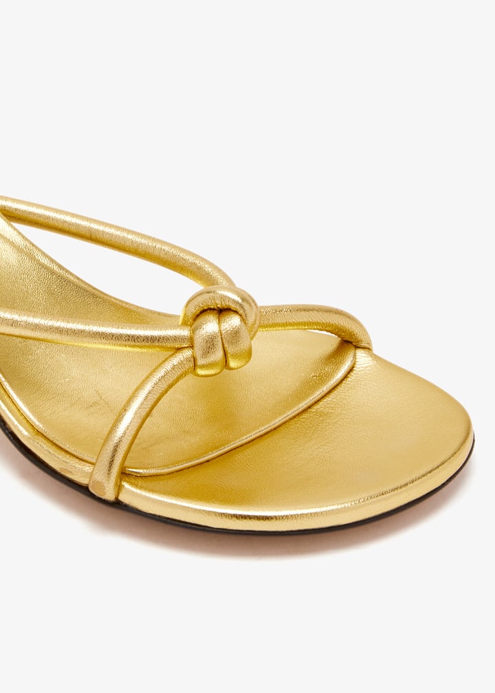 pl711742_5.jpg?ts=20260304050929