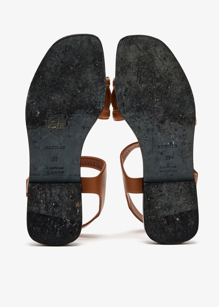 pl711888_7.jpg?ts=20260308051324