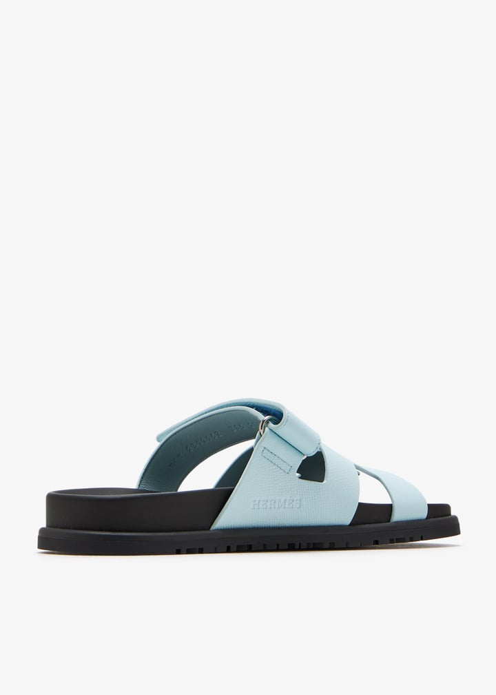 pldchpsdl05-blue_3.jpg?ts=20260309150224