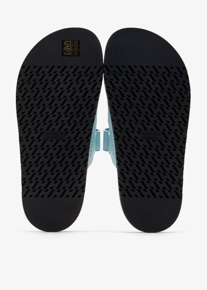 pldchpsdl05-blue_6.jpg?ts=20260309150224