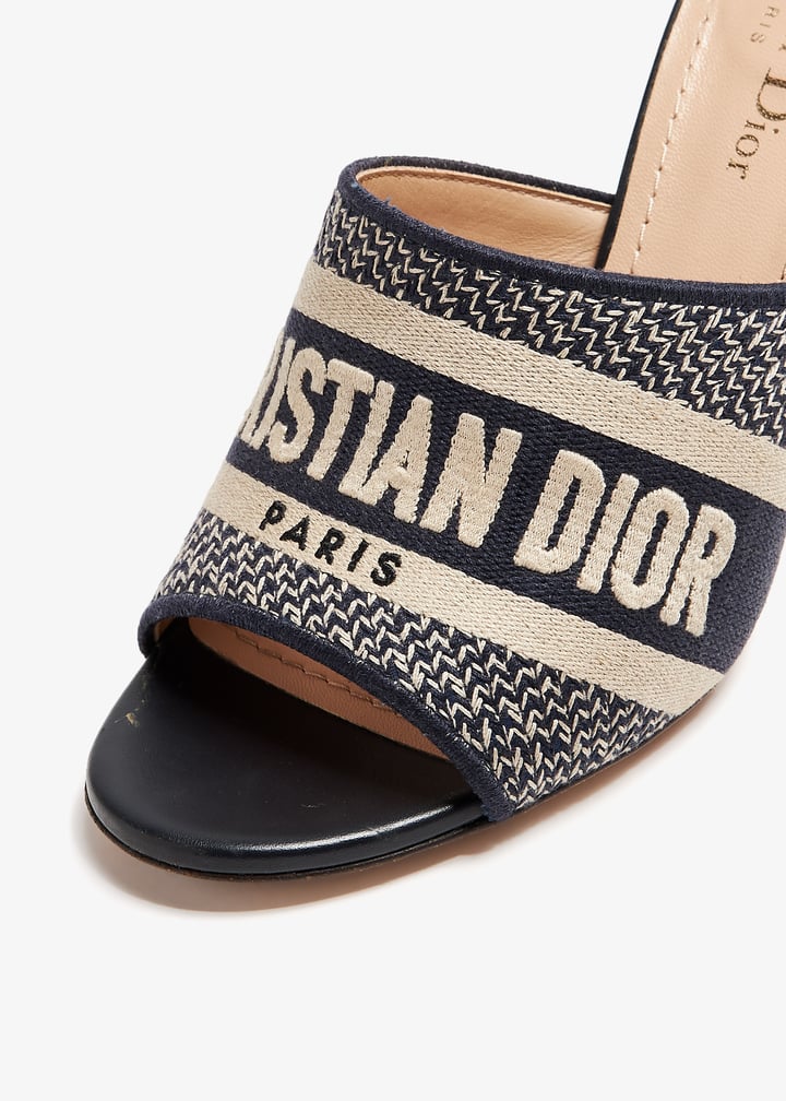 plddiorheels01-blue_2.jpg?ts=20240718033048