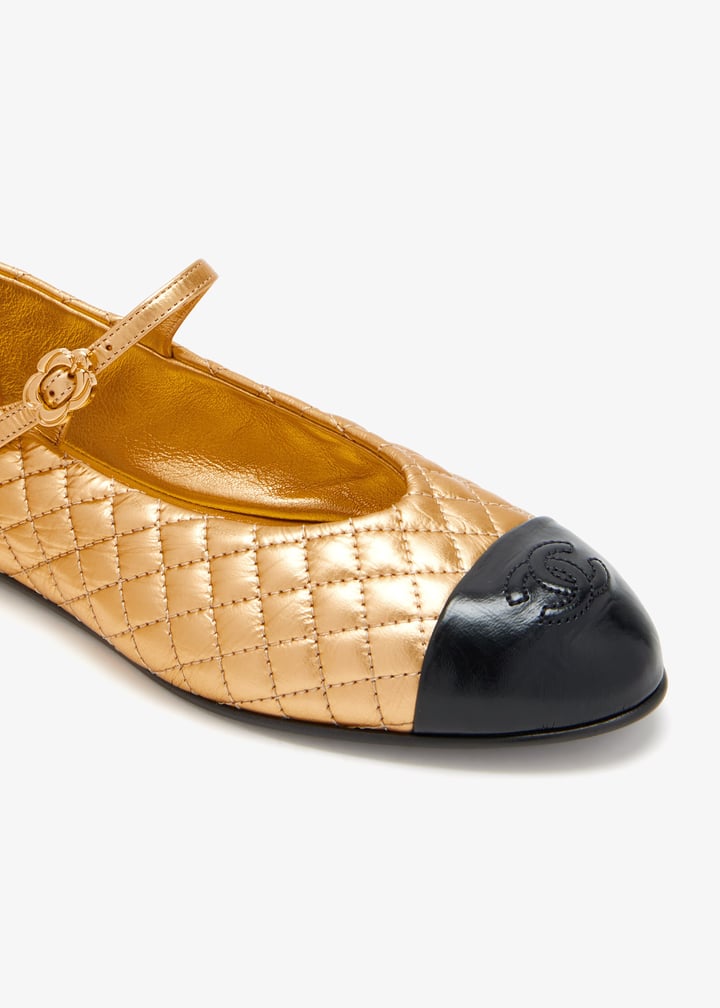 pldmryj58ne002-multi_4.jpg?ts=20260309145947