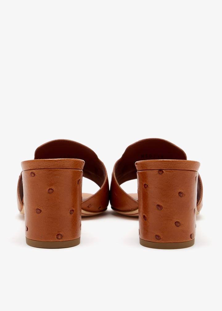 pldmule93s001-drkorg_5.jpg?ts=20260309145956